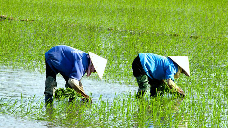 Hai tháng đầu năm nay, Trung Quốc một lần nữa trở thành thị trường lớn nhất cho xuất khẩu nông, thủy sản của Việt Nam.